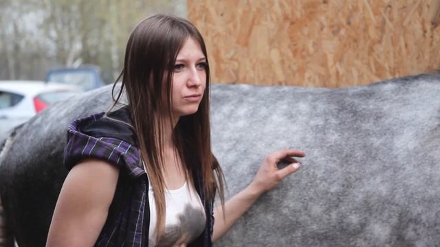 Машинка для стрижки Лошадей 350W Baoda AC-0903L (220V) смотреть онлайн