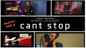 Cant stop (cover) RHCP