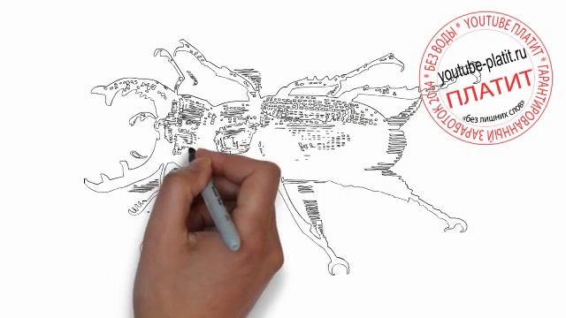 Как нарисовать карандашом жука короеда за 24 секунды смотреть онлайн