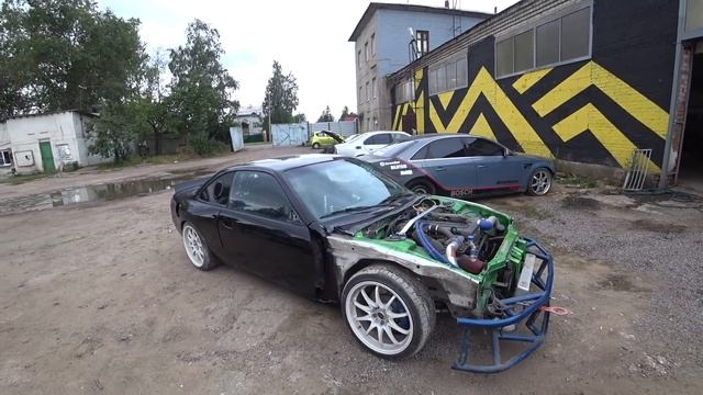 Новый вид Сливы
