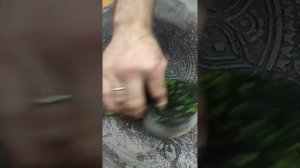 Трафареты и не только! Мастер класс по декоративной штукатурке! (Запись стрима)