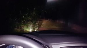 Работа дворников на автомобилях Datsun и Калина.