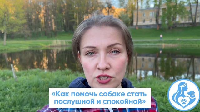 Как помочь своей собаке стать послушной и спокойной? БЕЗ СТРЕССА И НАКАЗАНИЙ ❌ смотреть онлайн