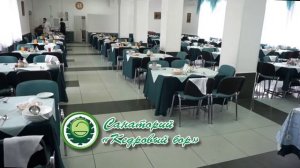 кедровый бор 02