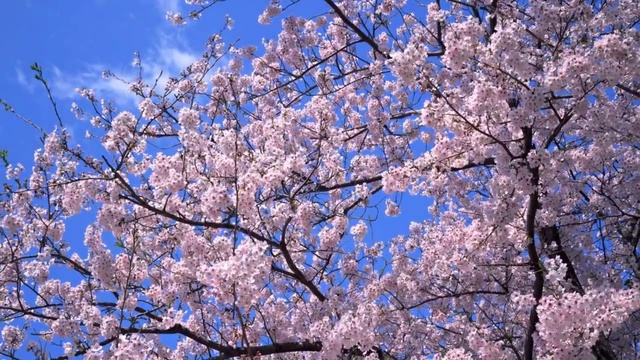 В ЯНВАРСКИЙ ВЕЧЕР смотреть онлайн