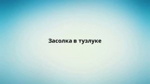 Засолка в тузлуке