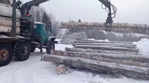 Лесовоз,разгрузка березы