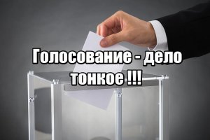 Голосование - дело тонкое!