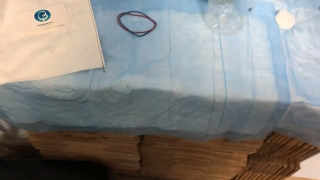 Распаковка медицинских пиявок из тары СПб и МСК