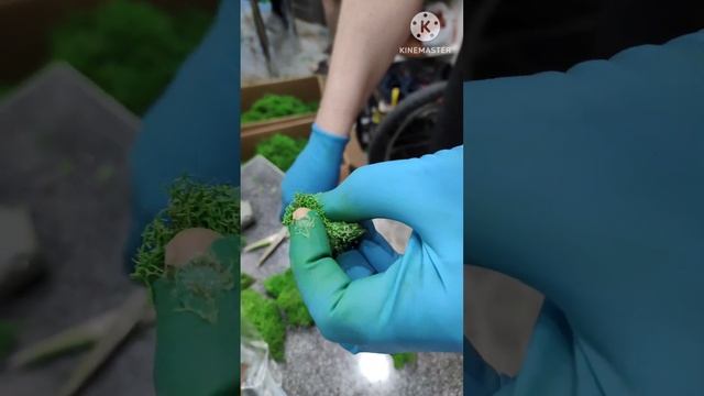 Как клеить мох, ягель.