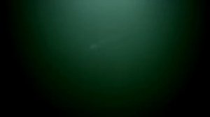 Александр Валявин  ВМФ