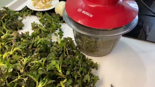 Полезные и лечебные свойства крапивы. Как и когда собирать крапиву. Крапивные котлеты, салат смотреть онлайн