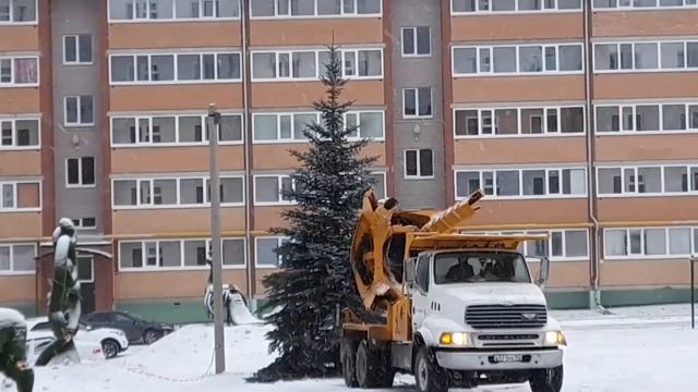 сажают живую ёлку на Новый год #природа #новыйгод #жизньвдеревне смотреть онлайн