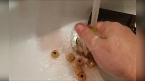 Кристальная вода в аквариуме с черепахой