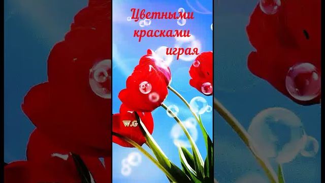 С первым днём Весны! Shorts