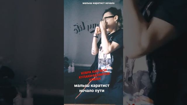 малыш каратист или проста кобра кай. мотивирующие видео.