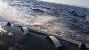 Brig 360 Rib Falcon +Y 20С максимальная скорость.