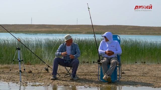 Дикий сазан на диком озере. смотреть онлайн