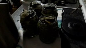 КАК ЗА 10 минут МАРИНОВАТЬ ВИНОГРАДНЫЕ ЛИСТЬЯ САМЫЙ БЫСТРЫЙ ПРОСТОЙ СПОСОБ