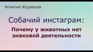 Собачий инстаграм, Баумейстер, Маргинал. Почему у животных нет знаковой деятельности