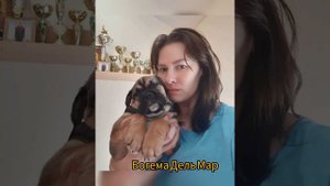 Ка Де Бо щенки Марселы и Нарса 2 года😘