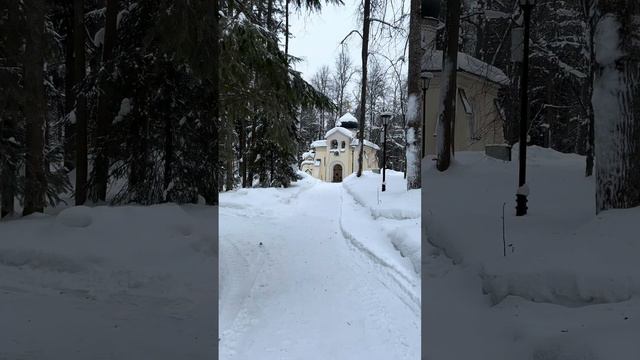 Выходной в Абрамцеве