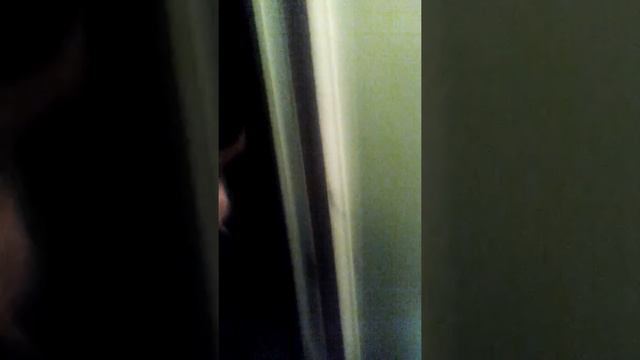 Иннокентий и мопс смотреть онлайн