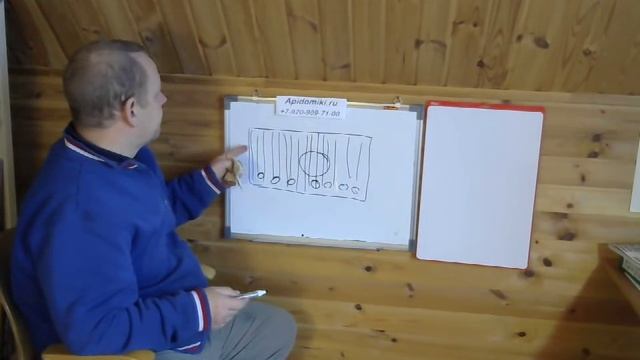 Перга сколько её в Владимирских ульях лежаках. смотреть онлайн