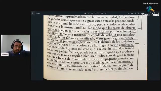Conflicto, dominancia y cooperación en las colonias de hormigas