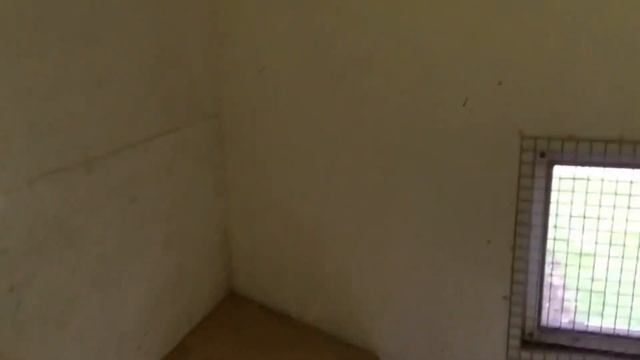 Как убрать запах в курятнике. Подготовка курятника к зиме. Насест без запаха до весны смотреть онлайн