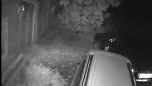 Меня подбили смотреть онлайн