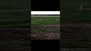 ремонт юмз 6