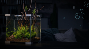 Аквариум Crystal бренда Laguna AQUA