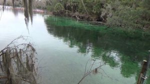 Моё впечатление о Любе Рид