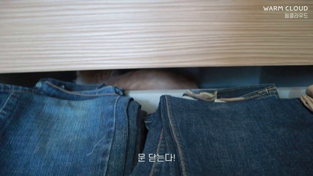 옷장에 들어간 고양이의 최후 смотреть онлайн