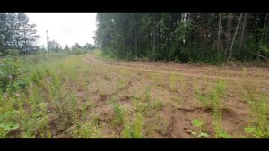 Инструкция или маленькое пособие - Как любой ценой попасть в Новожилово