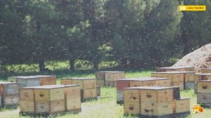 Блок №3. Улья для промышленного пчеловодства