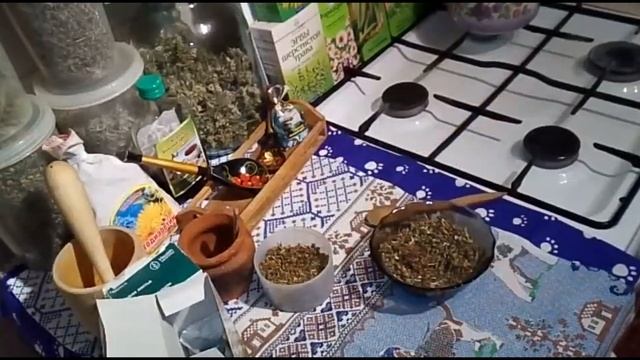 Шалфей - эликсир молодости. Целебные свойства и рецепт приготовления.