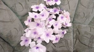 Сакура из изолона своими руками как сделать мастер класс