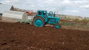 Трактор т-40 с польским плугом 3-30 и самодельной почвофрезой.