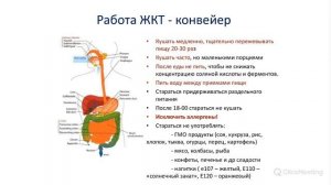 Трансфер фактор при аллергии. Возможности и перспективы использования.