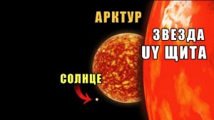 Куда мы так мчимся? Пс 148:3: "Хвалите Его, солнце и луна, хвалите Его, все звезды света."