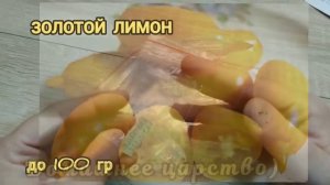 Обзор ТОМАТОВ по сортам на 2023 г!