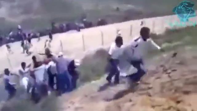 На помощь Палестины приходят мусульмани