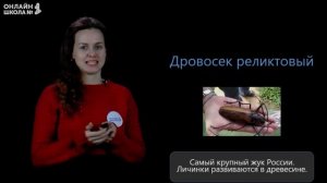Красная книга России. Видеоурок 15. Окружающий мир 2 класс