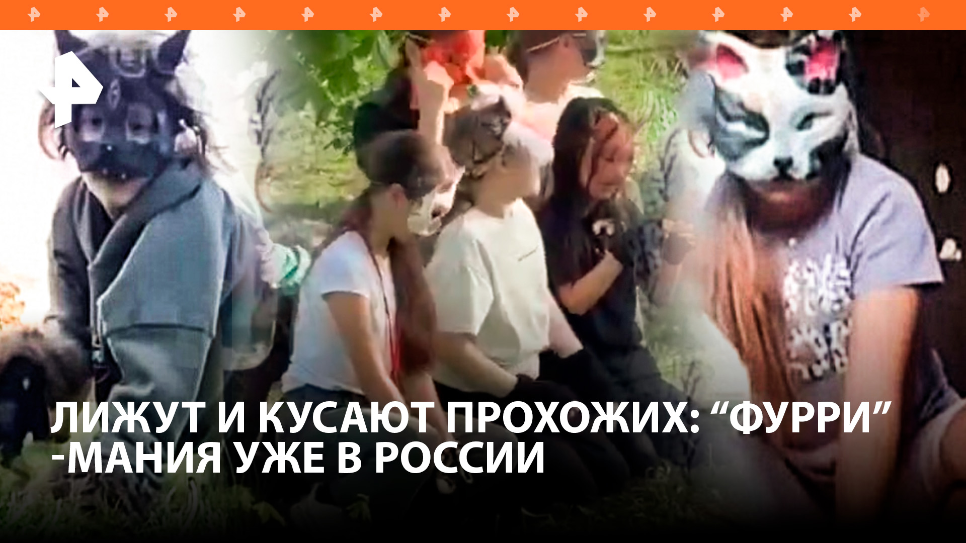 Зоошиза в России: дети встают на колени и кусают. "Фурри" и "квадроби" — в чем отличия?
