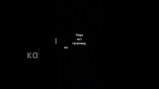 АМ № 1 (2) #пищеваяцепочка#шокконтент#ктокогоест#животные #растения #бактерии #биология#птицы #еда