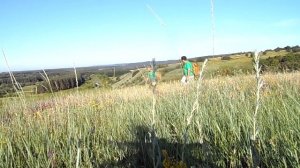 На природе в Сумской области работники Гетьманского парка