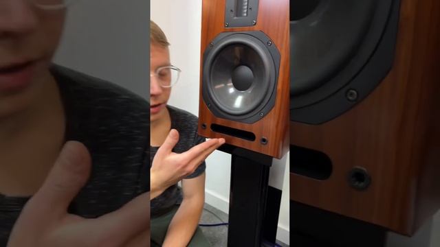 Разберем детально: полочники Aurum Cantus Melody M-103S ?