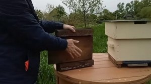 Народный улей Варрэ. Матчасть. Как устроены детали